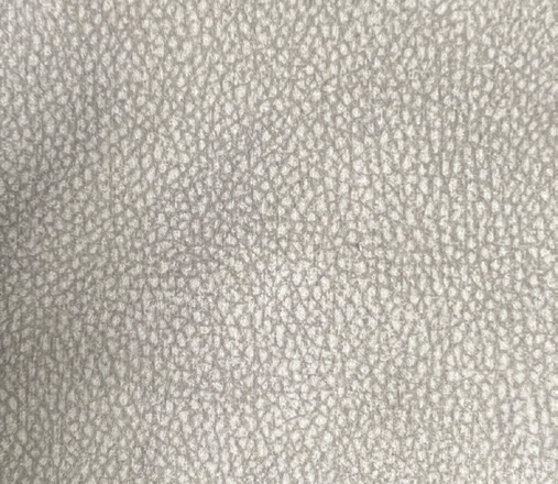 Upholstery: Arula - Dove